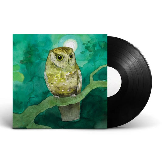 "STORYBOARDS" - VINYL
