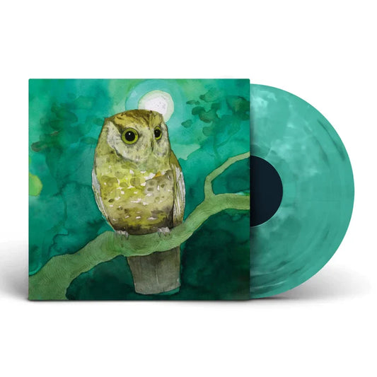 Storyboards - Vinyl