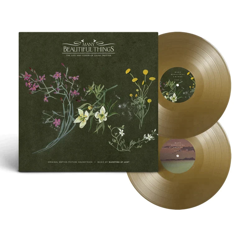 "MANY BEAUTIFUL THINGS" - VINYL 2xLP