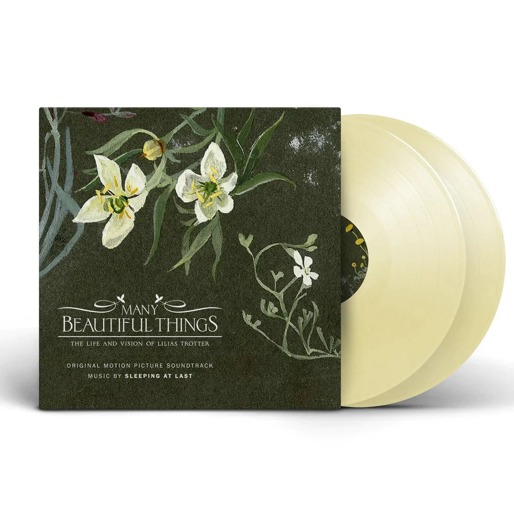 "MANY BEAUTIFUL THINGS" - VINYL 2xLP